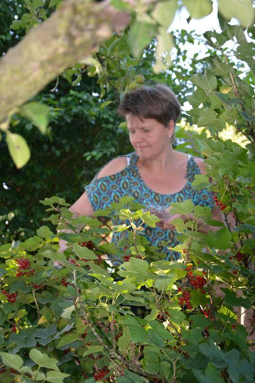 Willa Bio-Bauernhof Haunschmid Ardagger Markt Zewnętrze zdjęcie