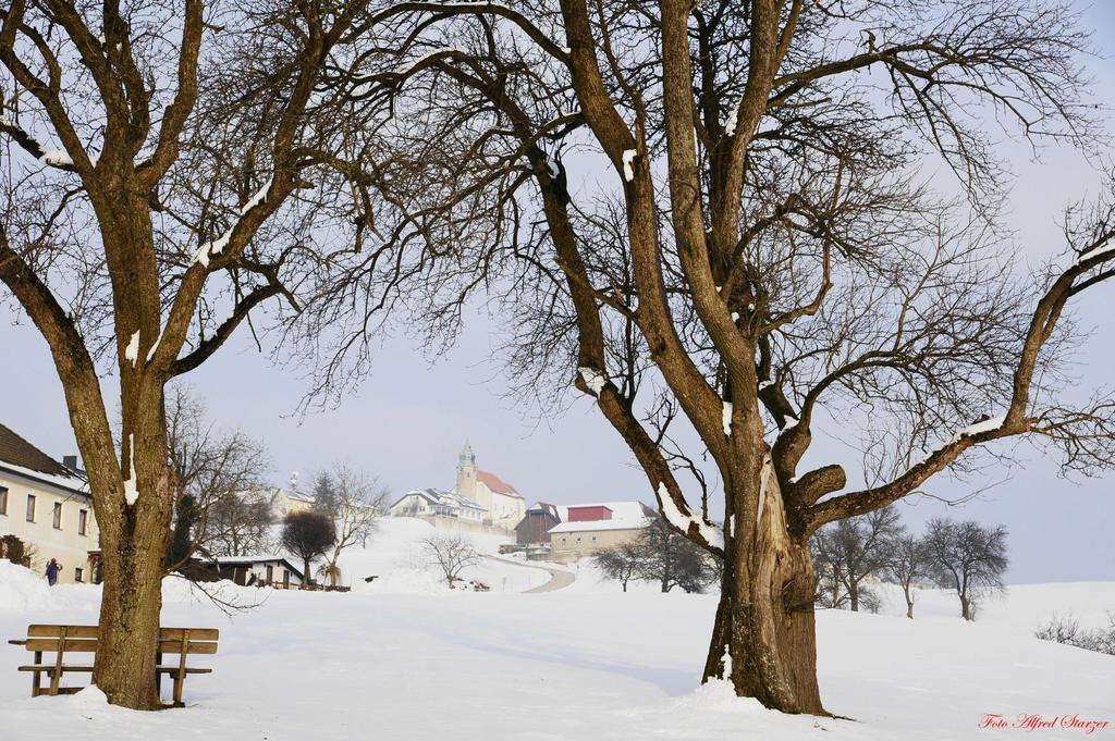 Willa Bio-Bauernhof Haunschmid Ardagger Markt Zewnętrze zdjęcie