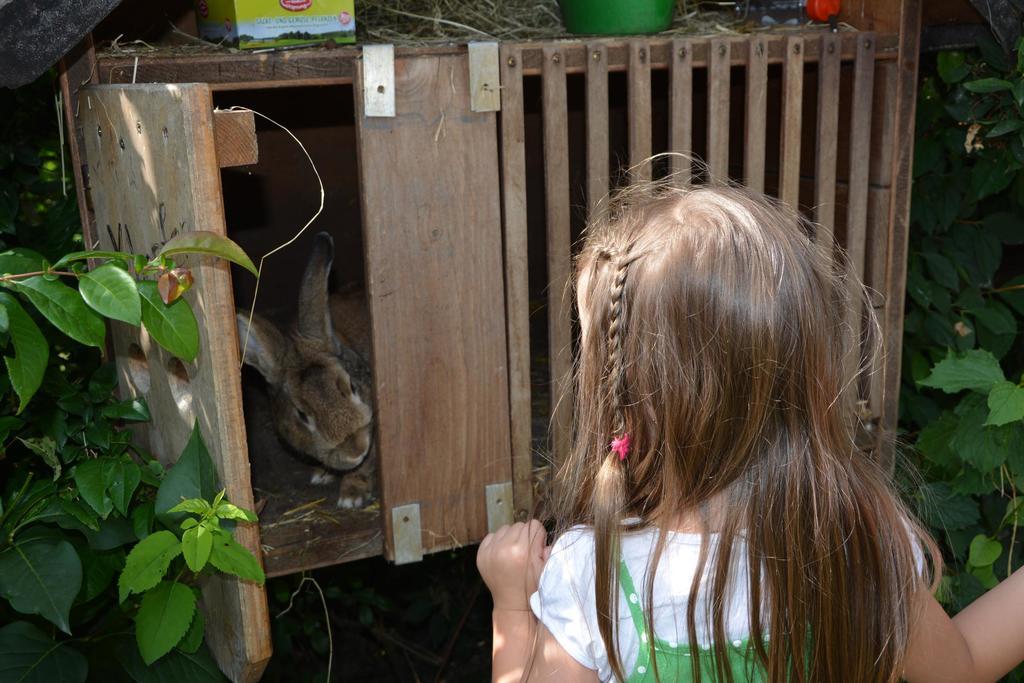 Willa Bio-Bauernhof Haunschmid Ardagger Markt Zewnętrze zdjęcie
