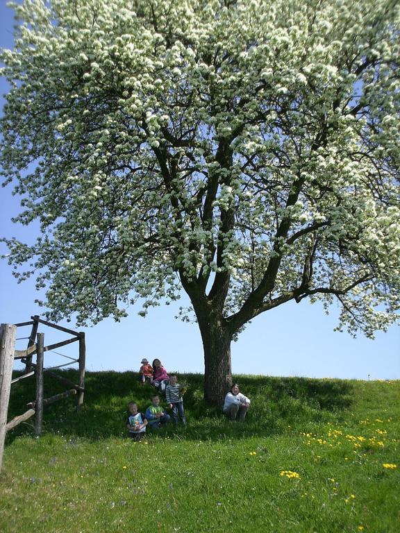 Willa Bio-Bauernhof Haunschmid Ardagger Markt Zewnętrze zdjęcie