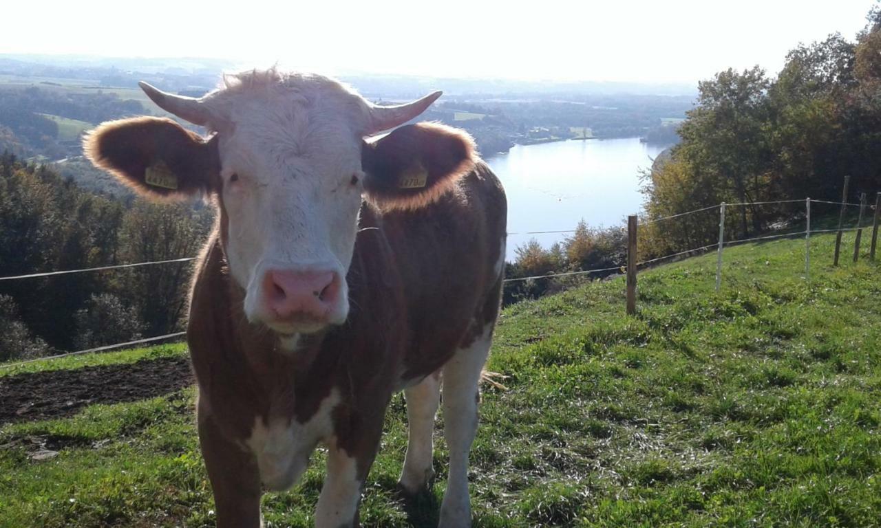 Willa Bio-Bauernhof Haunschmid Ardagger Markt Zewnętrze zdjęcie